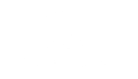 Judaica Plaza