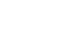 Wig Care by Raizy